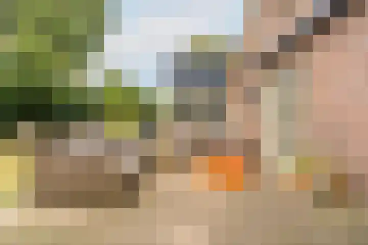 Poortland 18 Vleuten thumbnail 12