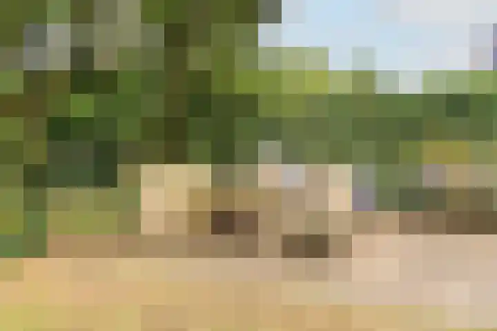 Poortland 18 Vleuten thumbnail 13