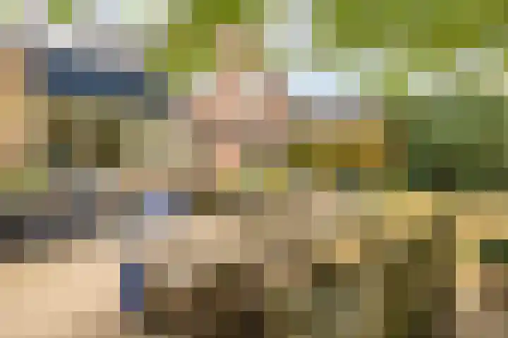 Poortland 18 Vleuten thumbnail 14