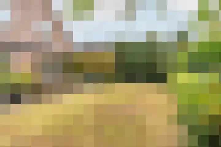 Poortland 18 Vleuten thumbnail 15