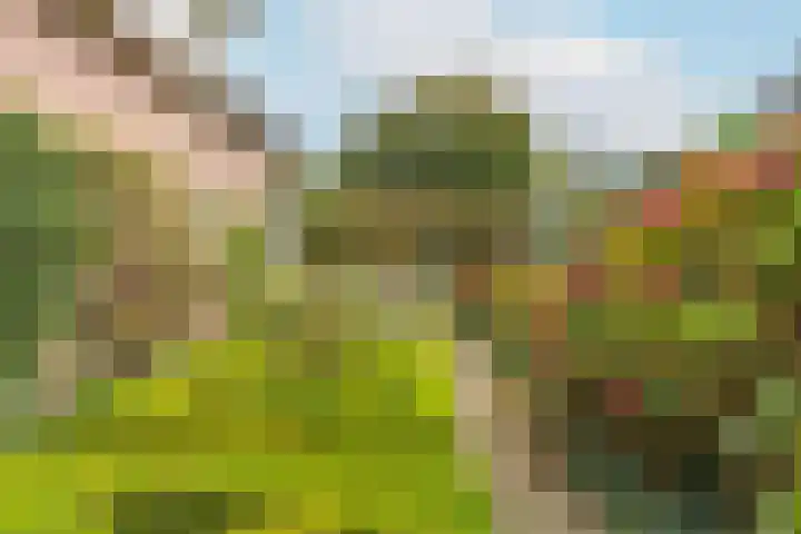 Poortland 18 Vleuten thumbnail 25