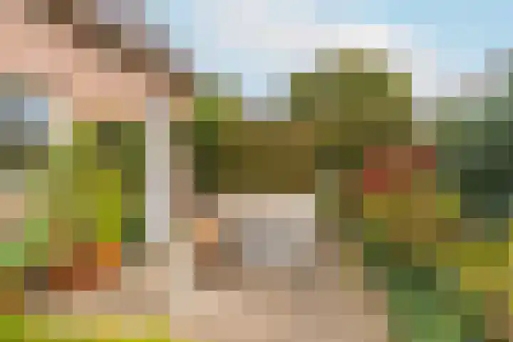 Poortland 18 Vleuten thumbnail 26