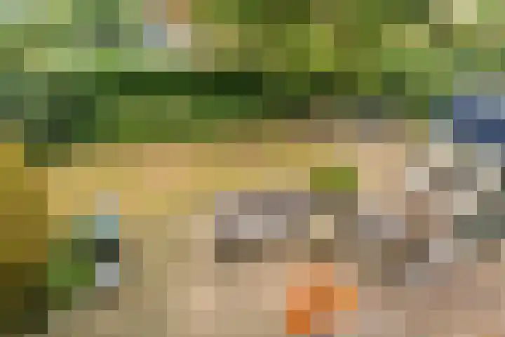 Poortland 18 Vleuten thumbnail 35