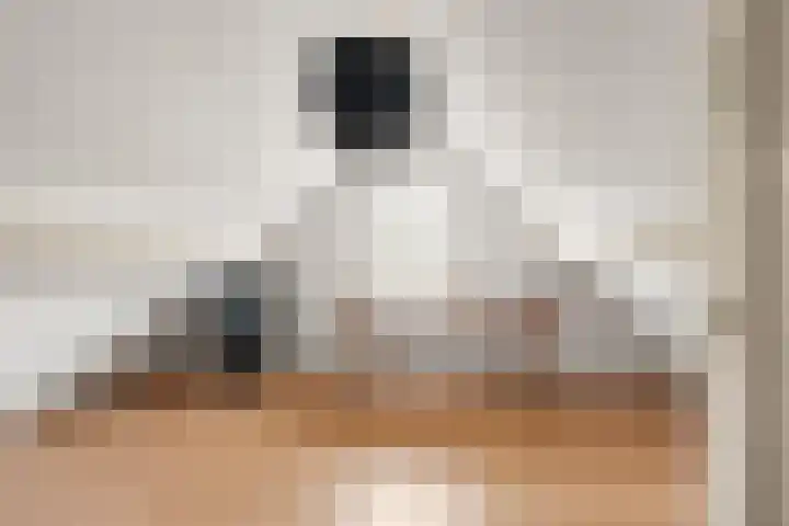 Poortland 18 Vleuten thumbnail 37