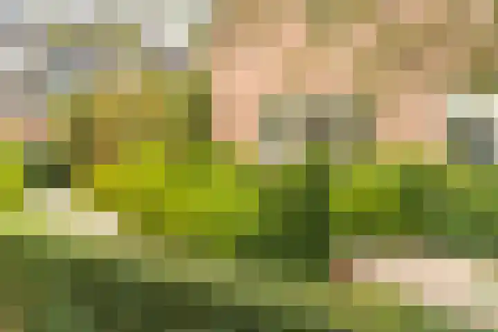 Poortland 18 Vleuten thumbnail 4