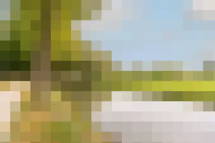 Poortland 18 Vleuten thumbnail 40