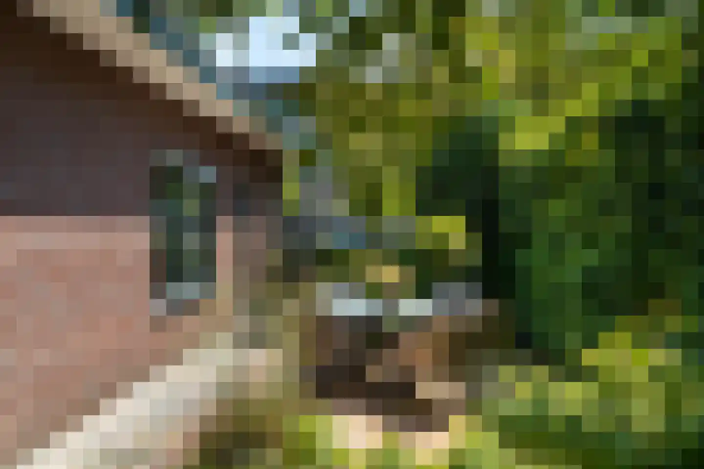 Poortland 20 Vleuten thumbnail 12