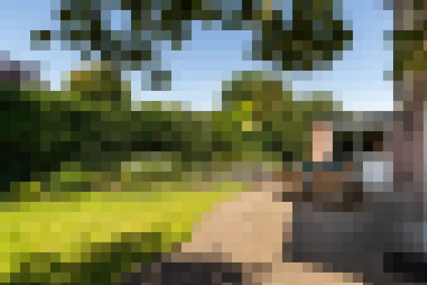 Poortland 20 Vleuten thumbnail 13