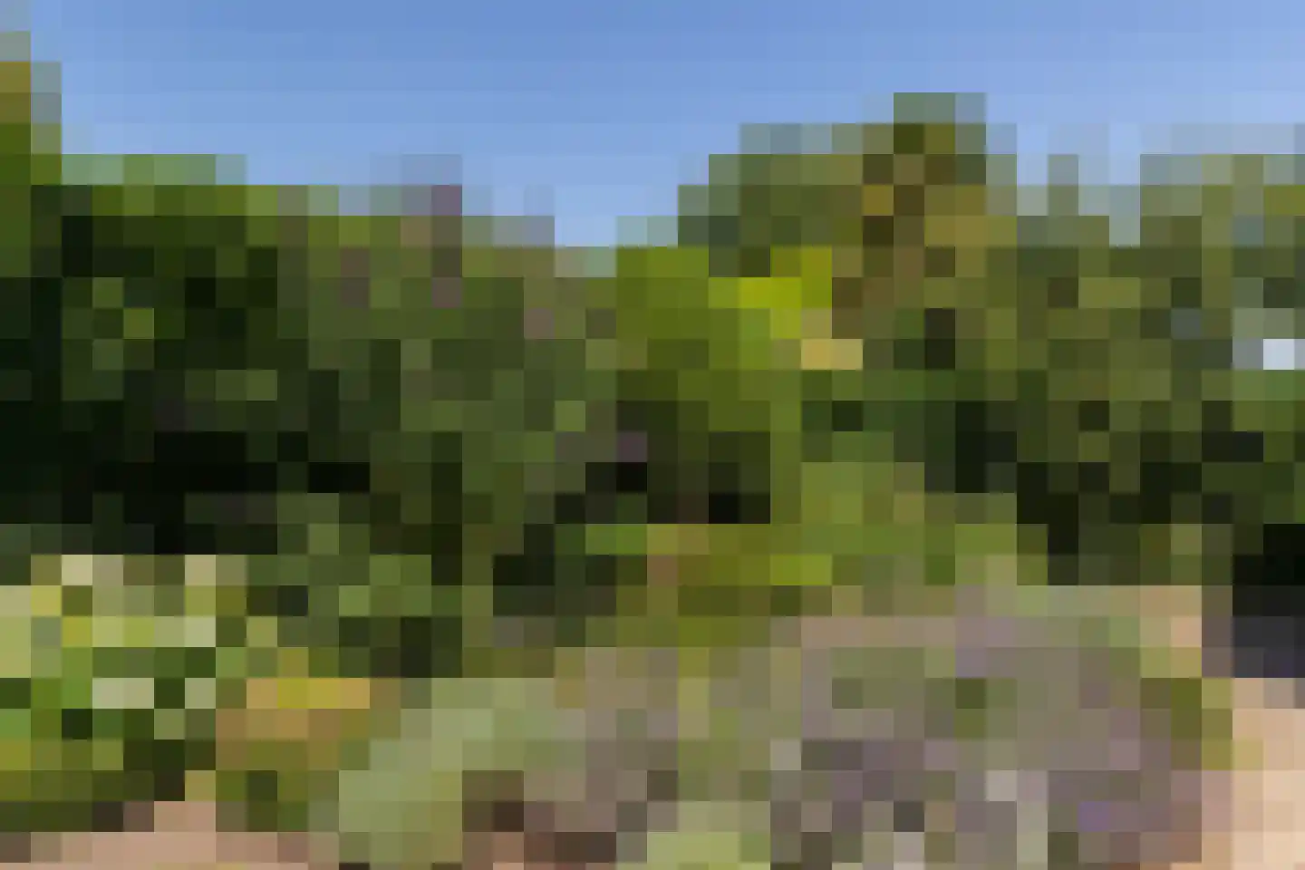 Poortland 20 Vleuten thumbnail 14