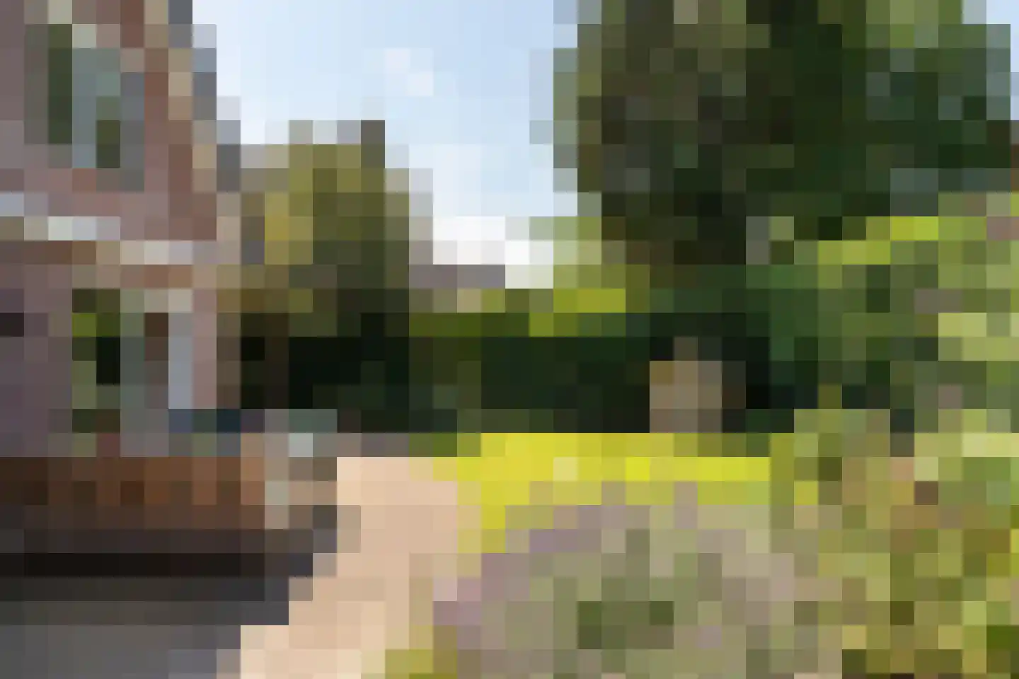 Poortland 20 Vleuten thumbnail 15