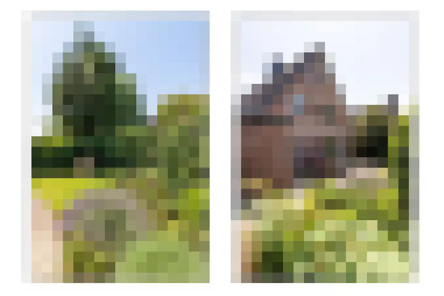 Poortland 20 Vleuten thumbnail 16