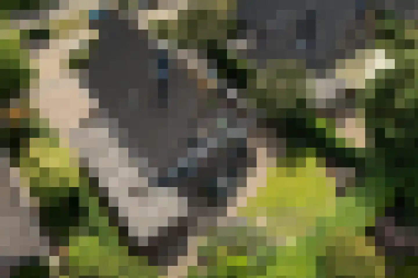 Poortland 20 Vleuten thumbnail 37