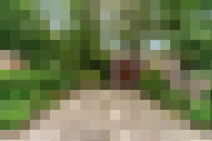 Poortland 27 Vleuten thumbnail 19
