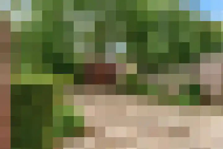 Poortland 27 Vleuten thumbnail 20