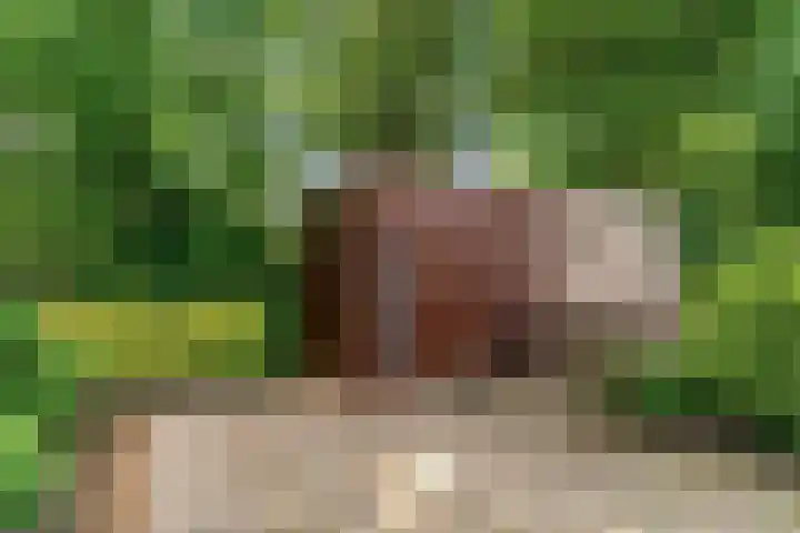 Poortland 27 Vleuten thumbnail 21