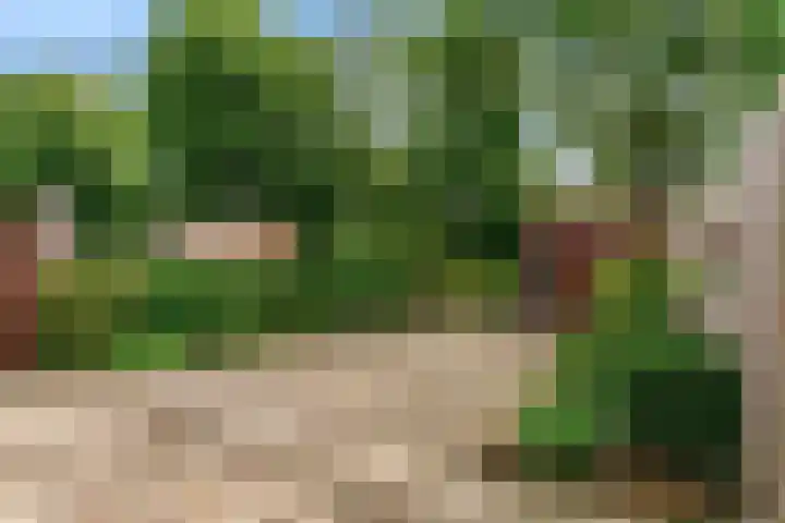 Poortland 27 Vleuten thumbnail 22