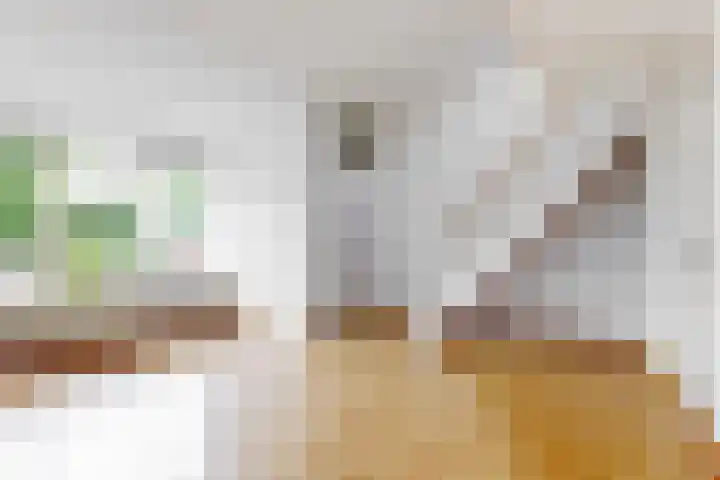 Poortland 27 Vleuten thumbnail 5