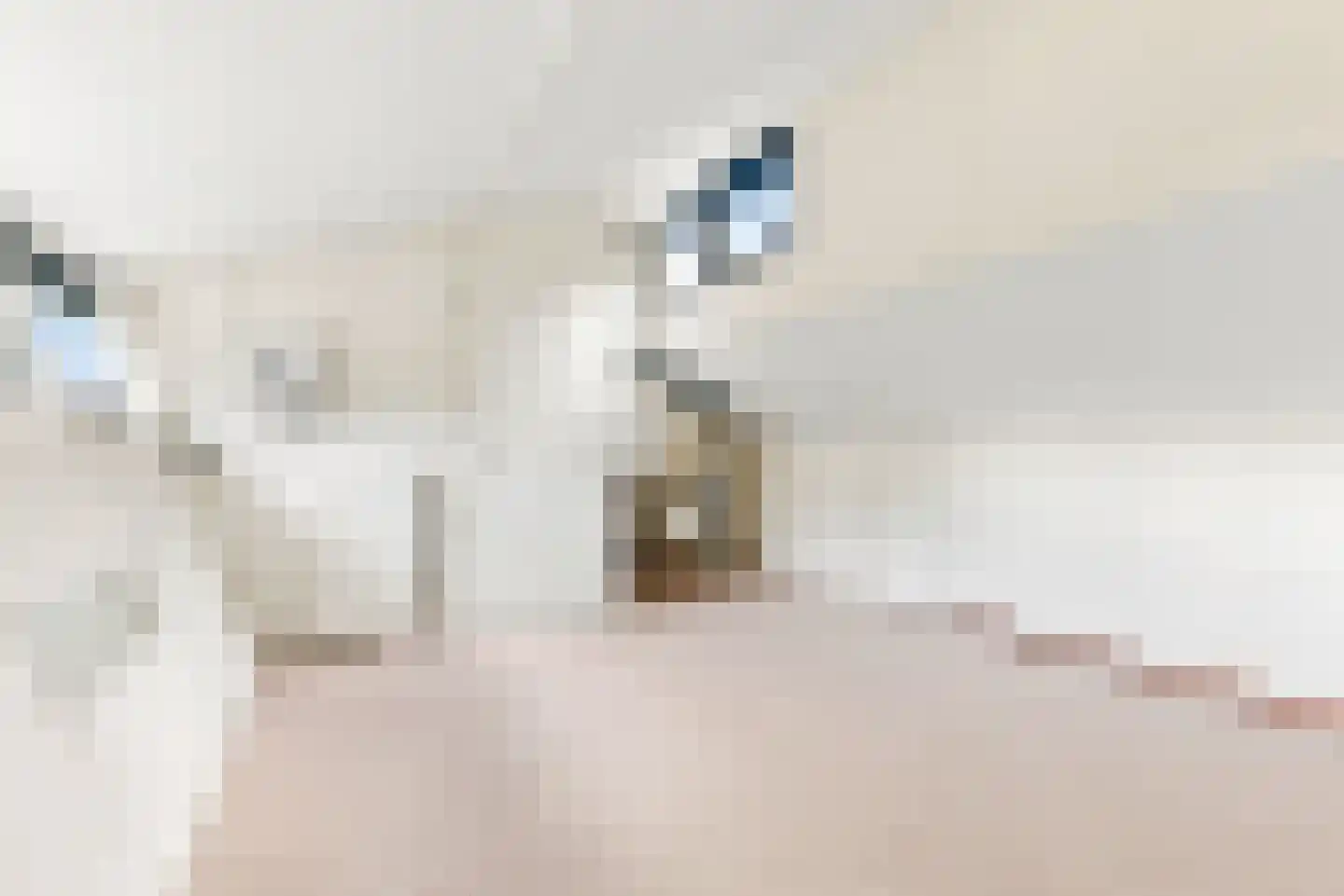 Poortland 3 Vleuten thumbnail 28
