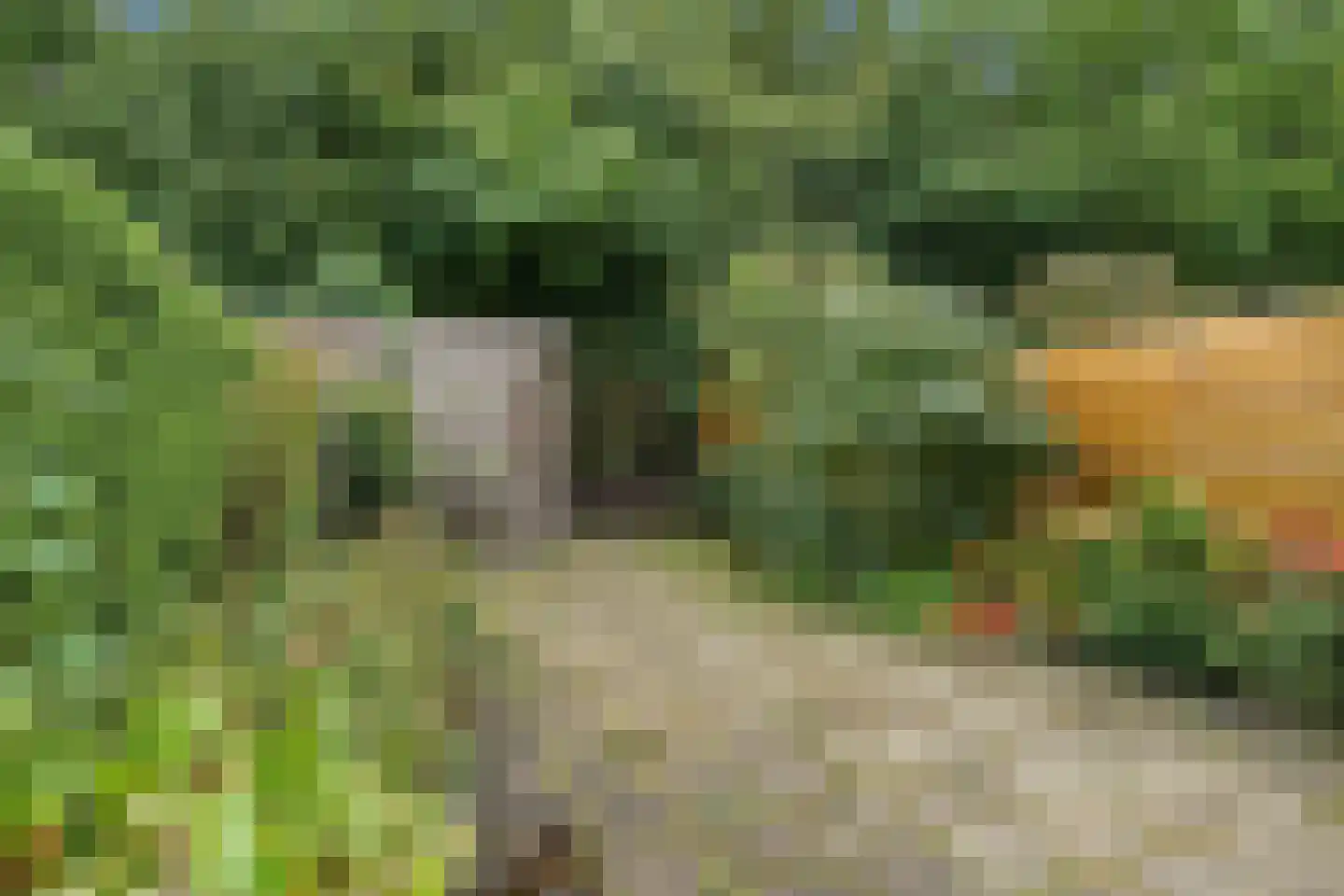 Poortland 3 Vleuten thumbnail 29