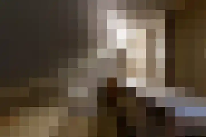 Poortland 49 Vleuten thumbnail 18