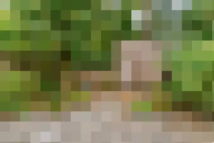 Poortland 49 Vleuten thumbnail 19