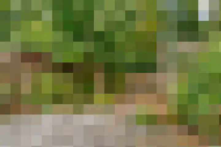 Poortland 49 Vleuten thumbnail 20