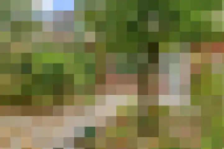 Poortland 49 Vleuten thumbnail 21