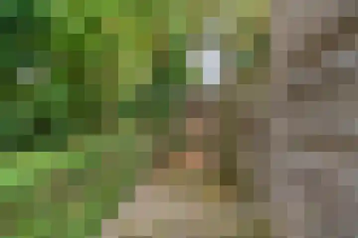 Poortland 49 Vleuten thumbnail 22