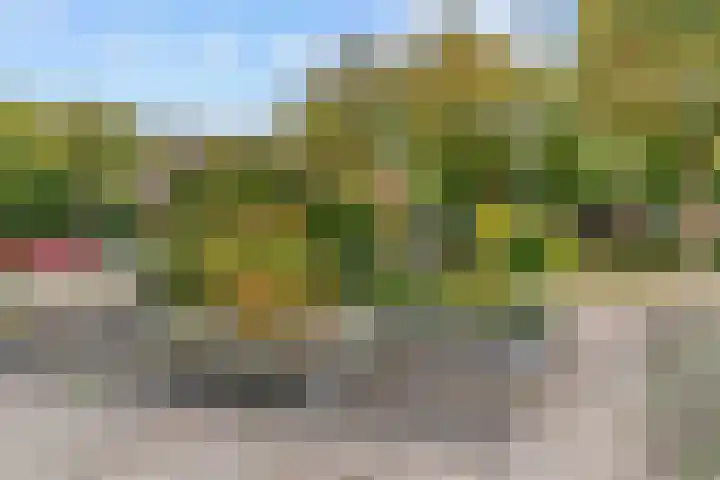Poortland 49 Vleuten thumbnail 23