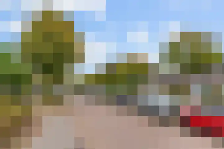 Poortland 49 Vleuten thumbnail 26