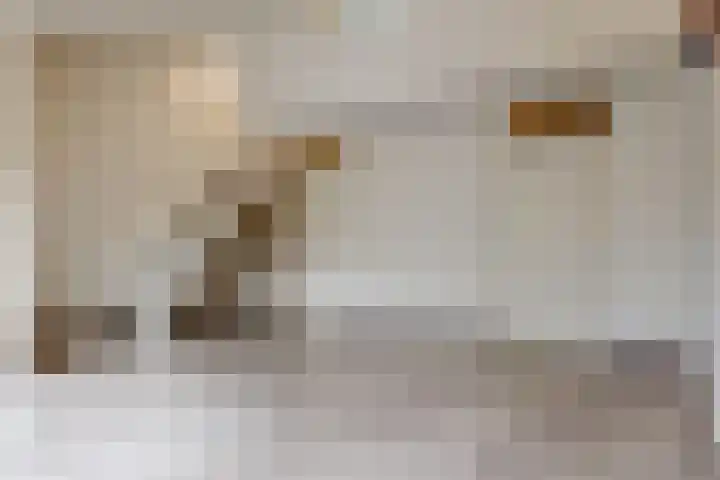 Poortland 49 Vleuten thumbnail 8
