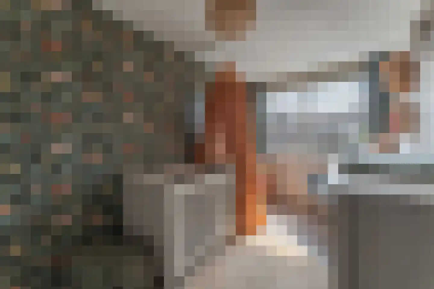 Poortland 8 Enkhuizen thumbnail 34