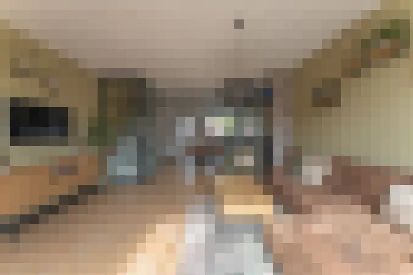 Poortland 8 Enkhuizen thumbnail 4
