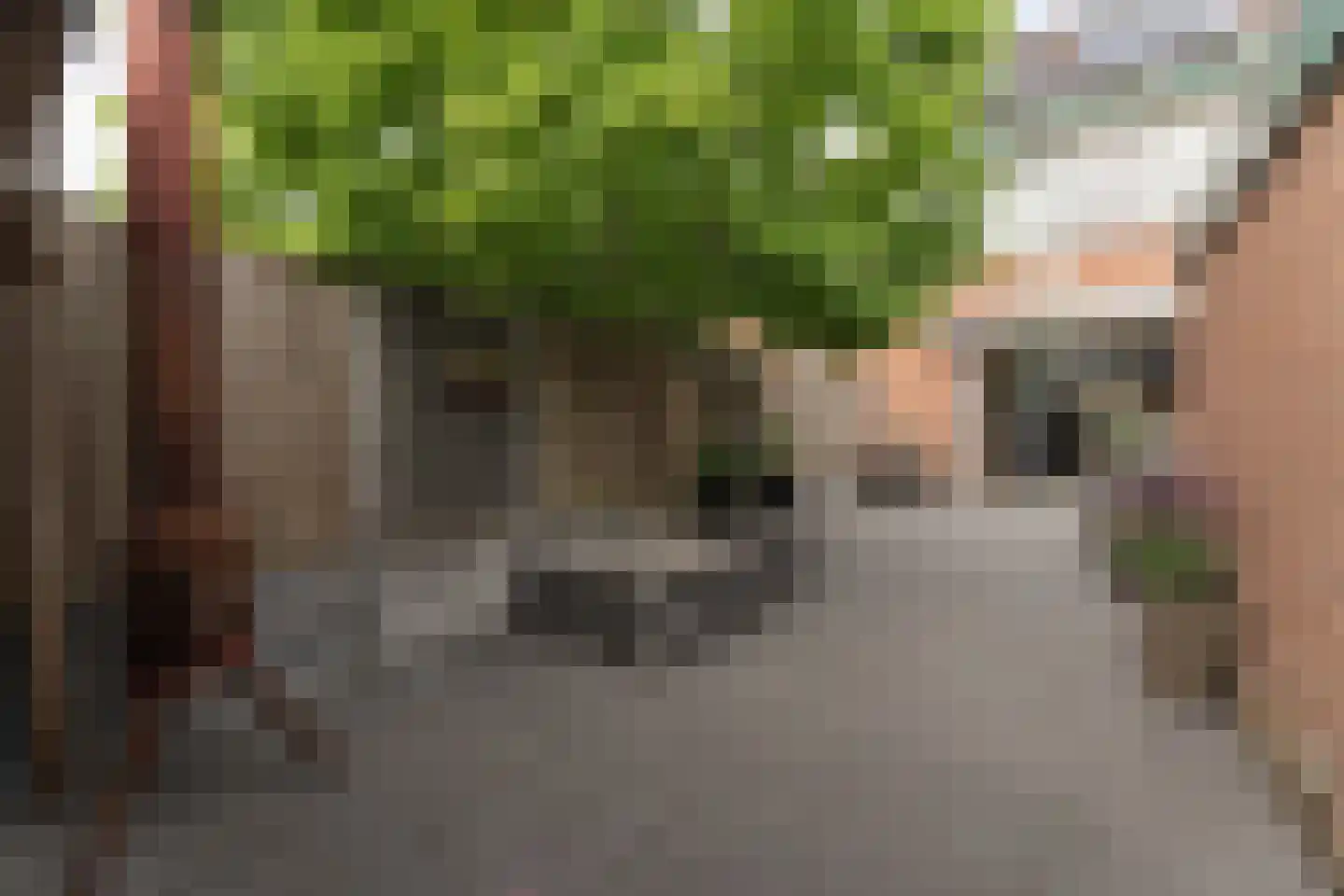 Poortland 8 Enkhuizen thumbnail 53