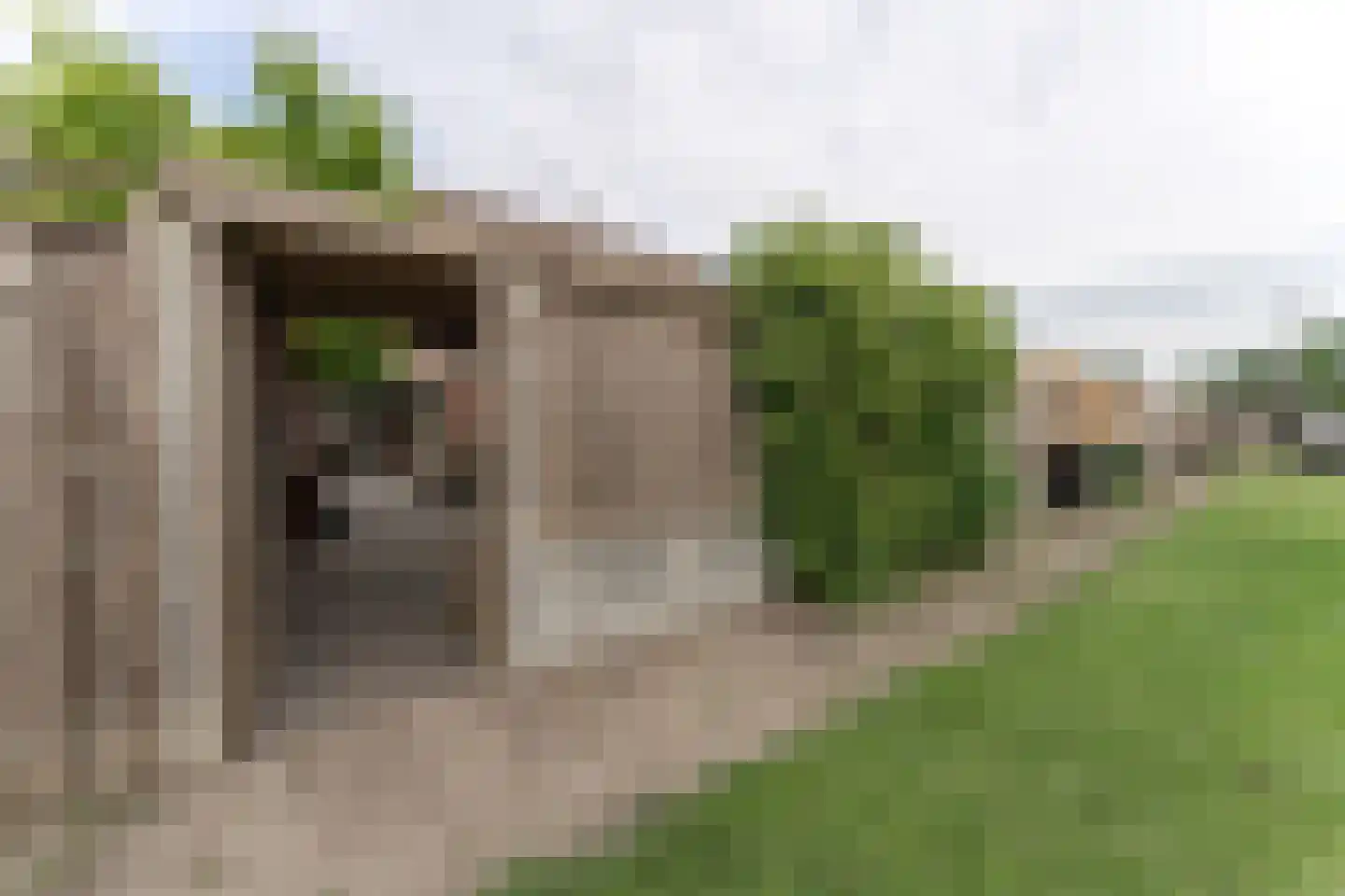 Poortland 8 Enkhuizen thumbnail 60
