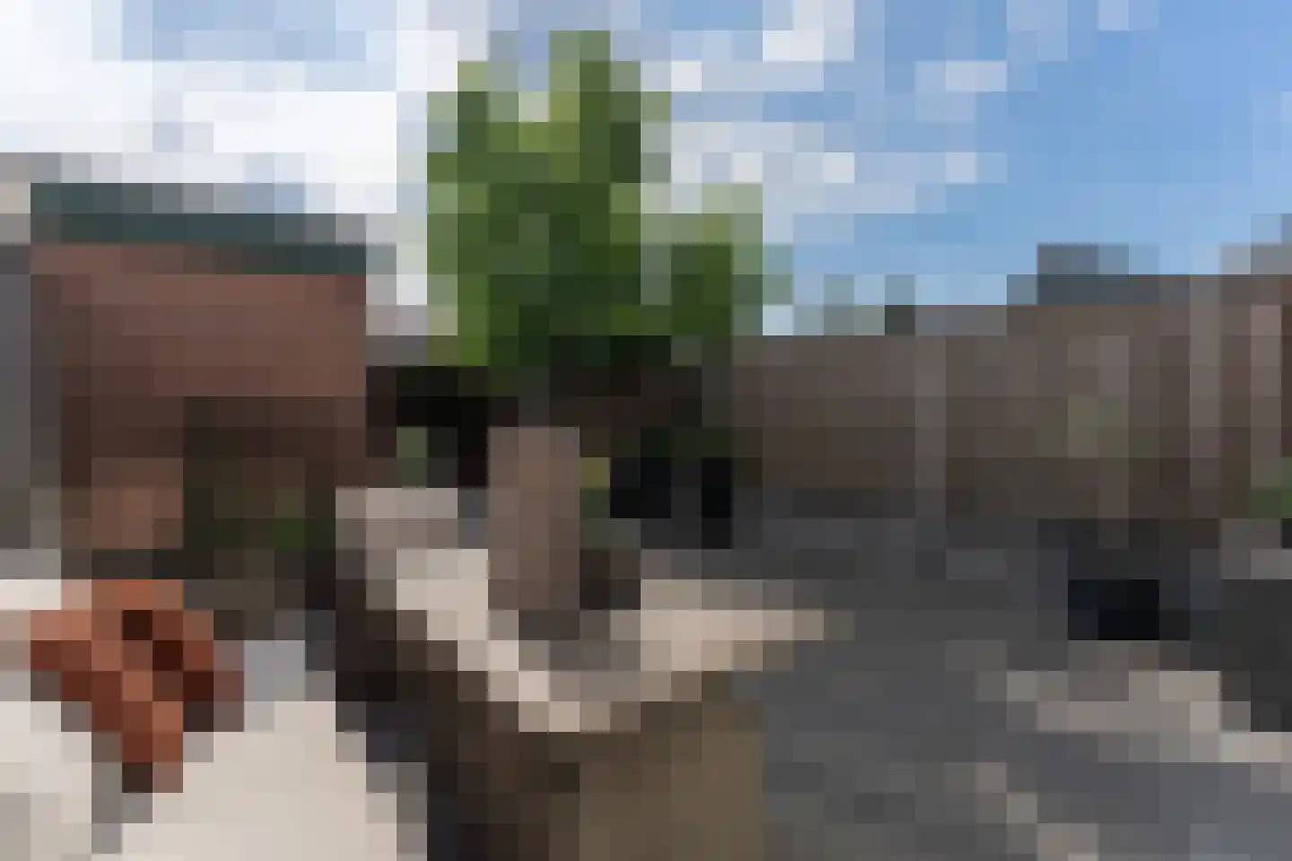 Poortland 8 Enkhuizen thumbnail 9