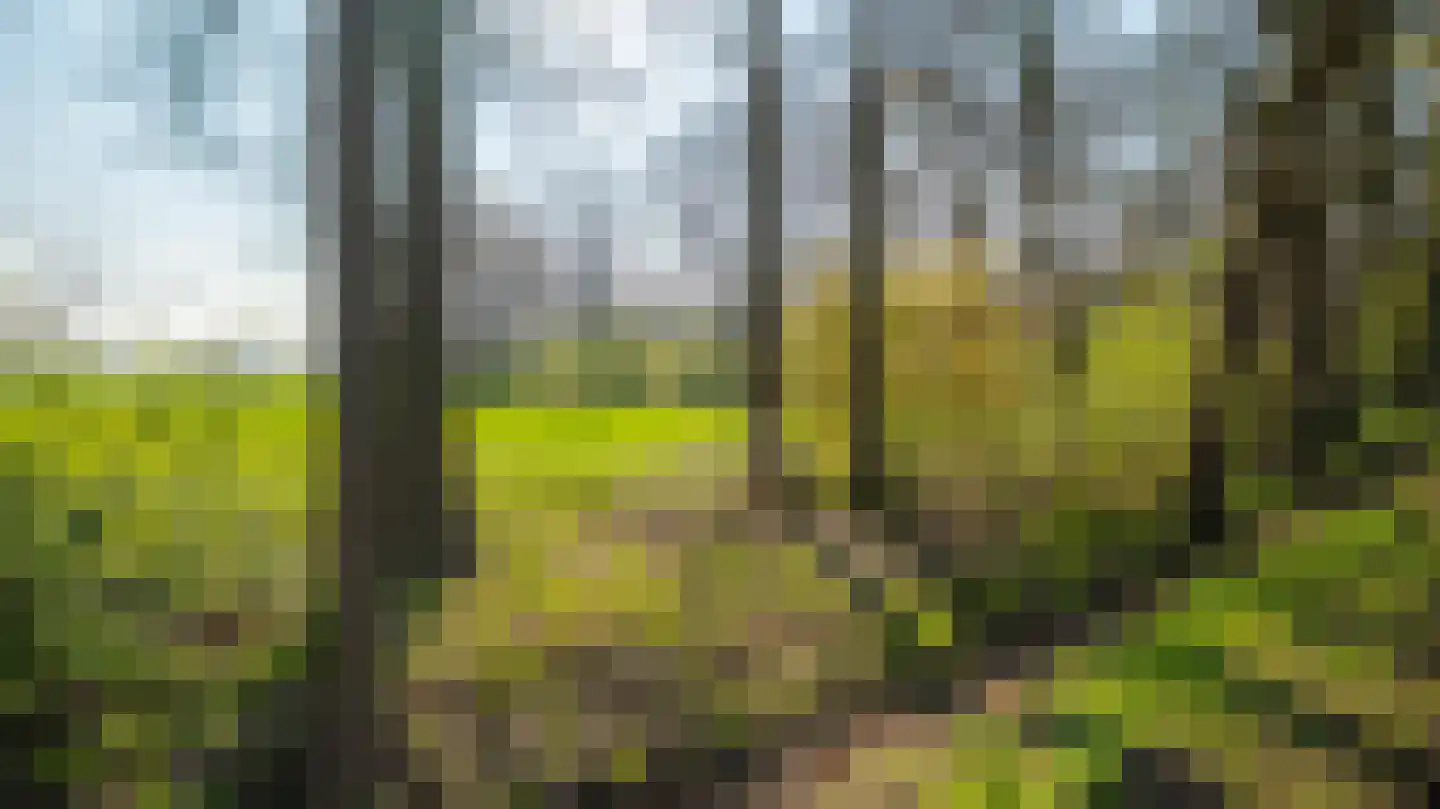 Poortmanstraat 22 Almelo thumbnail 33