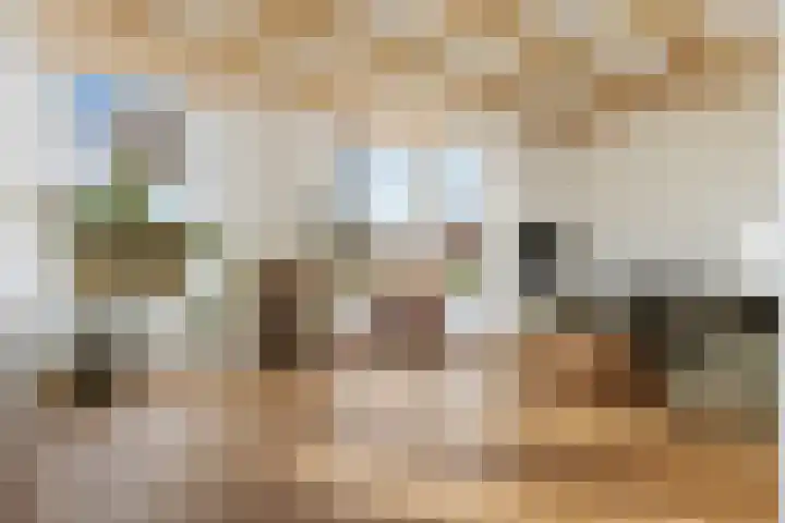 Poortmanswijk 2 Alteveer thumbnail 10