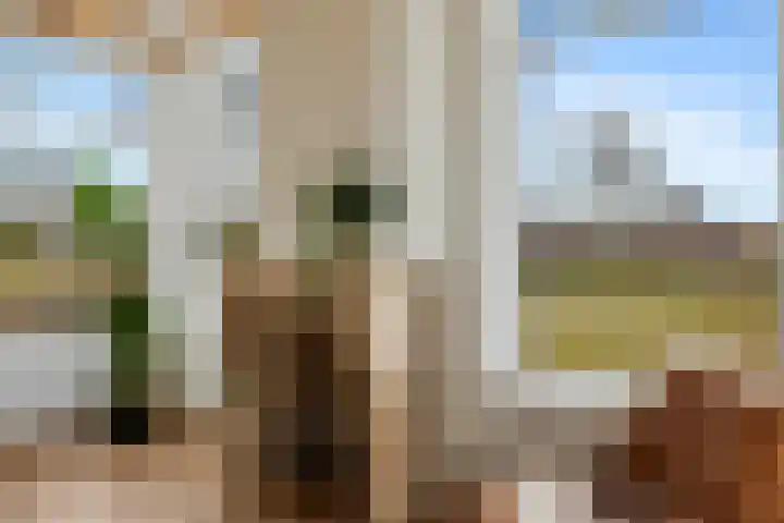 Poortmanswijk 2 Alteveer thumbnail 12