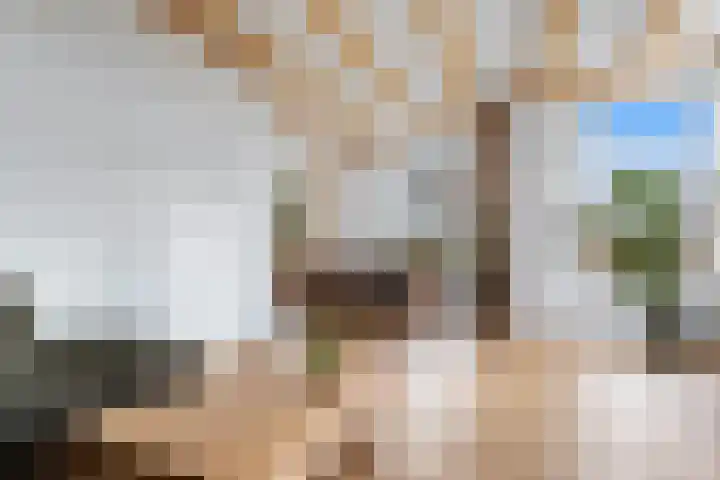 Poortmanswijk 2 Alteveer thumbnail 13