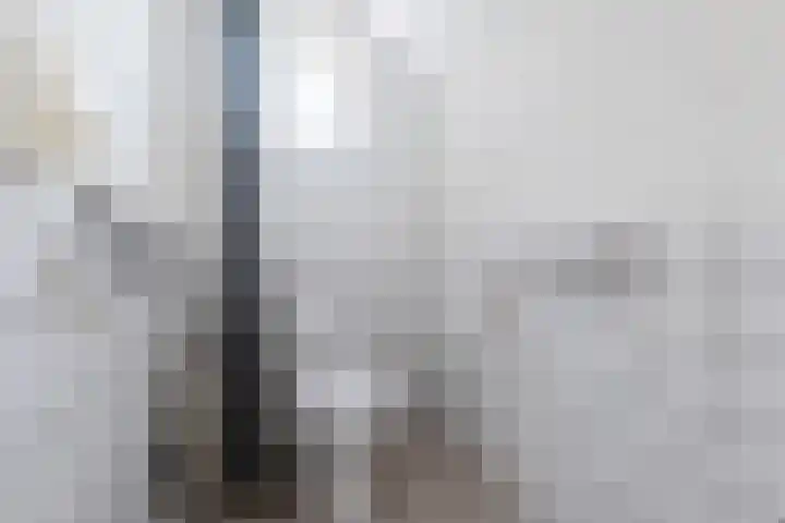Poortmanswijk 2 Alteveer thumbnail 19