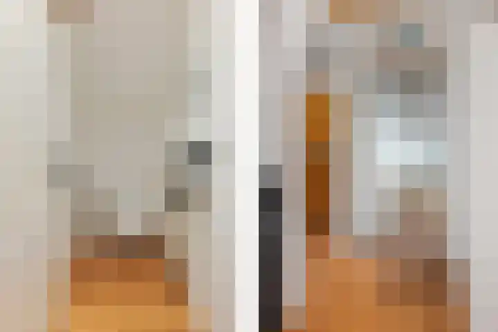 Poortmanswijk 2 Alteveer thumbnail 20