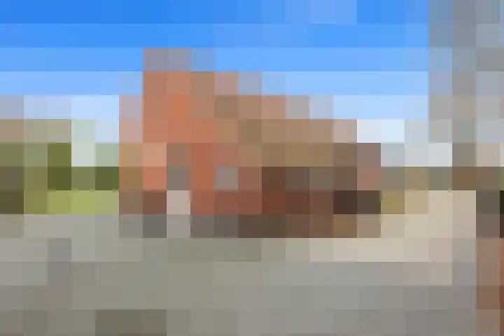 Poortmanswijk 2 Alteveer thumbnail 29