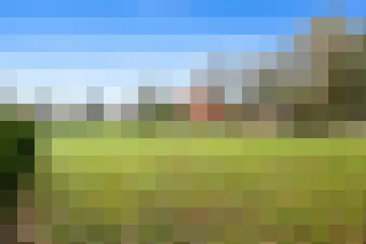 Poortmanswijk 2 Alteveer thumbnail 33