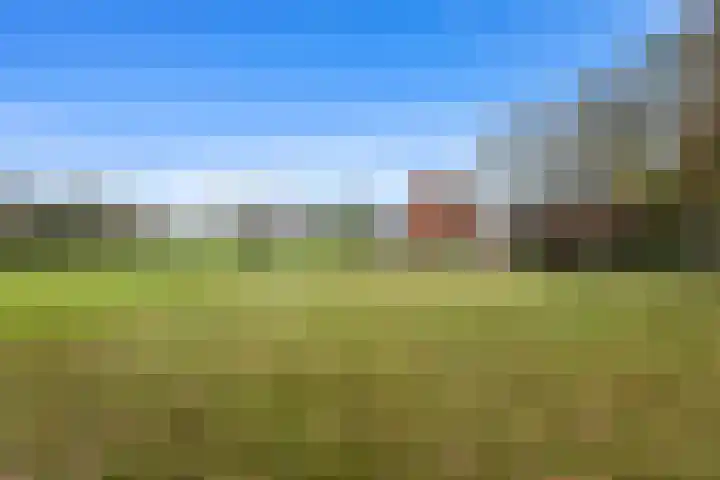 Poortmanswijk 2 Alteveer thumbnail 34