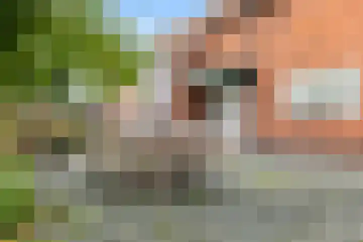 Poortmanswijk 2 Alteveer thumbnail 36