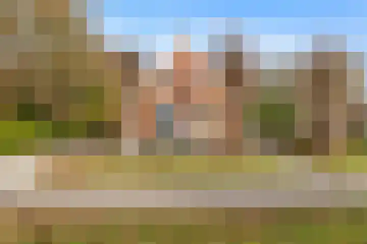 Poortmanswijk 2 Alteveer thumbnail 37