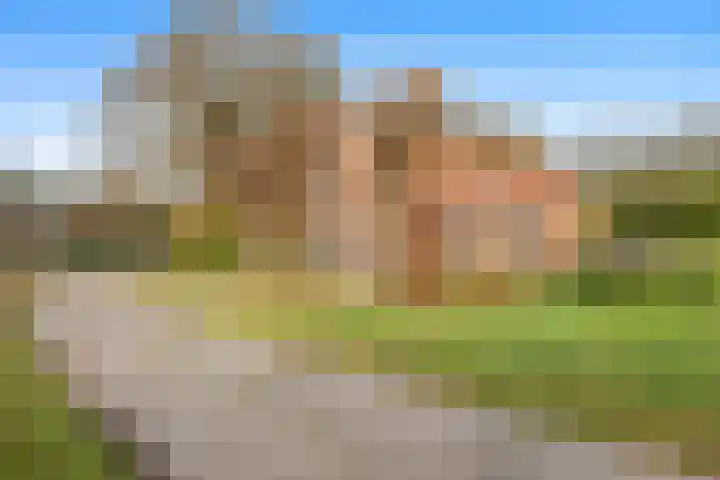Poortmanswijk 2 Alteveer thumbnail 39
