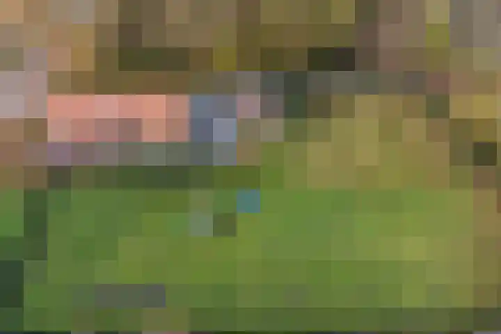 Poortmanswijk 2 Alteveer thumbnail 40