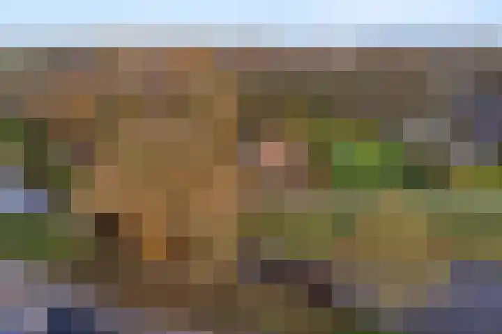 Poortmanswijk 2 Alteveer thumbnail 41